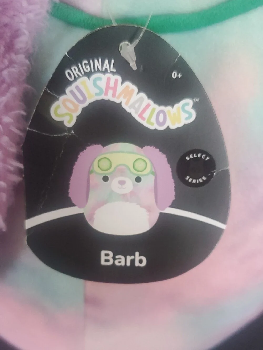 Squishmallows barb cucumber